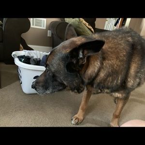 Meet your Posher, Ron